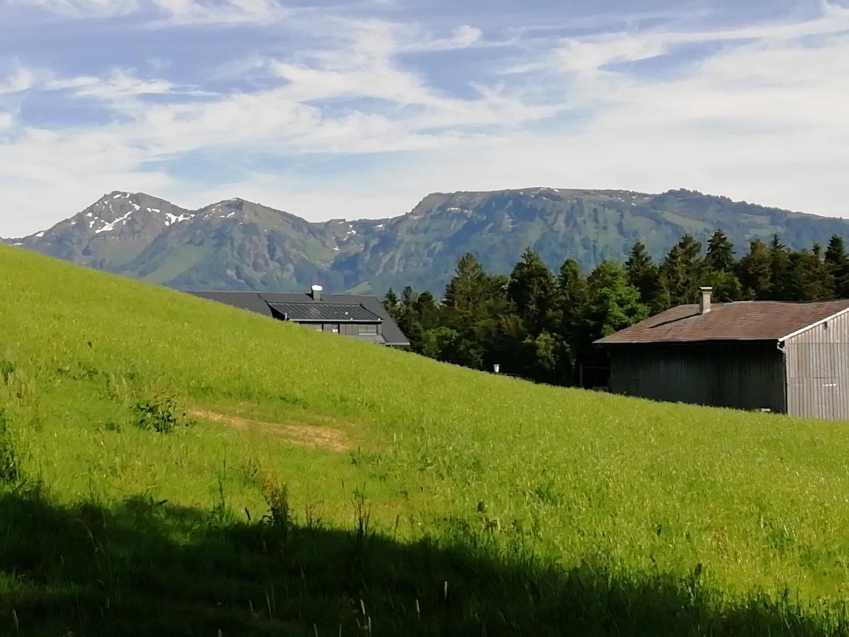 Ferienwohnung "Beim Hirsch" Bregenzerwald Langenegg Eksteriør billede